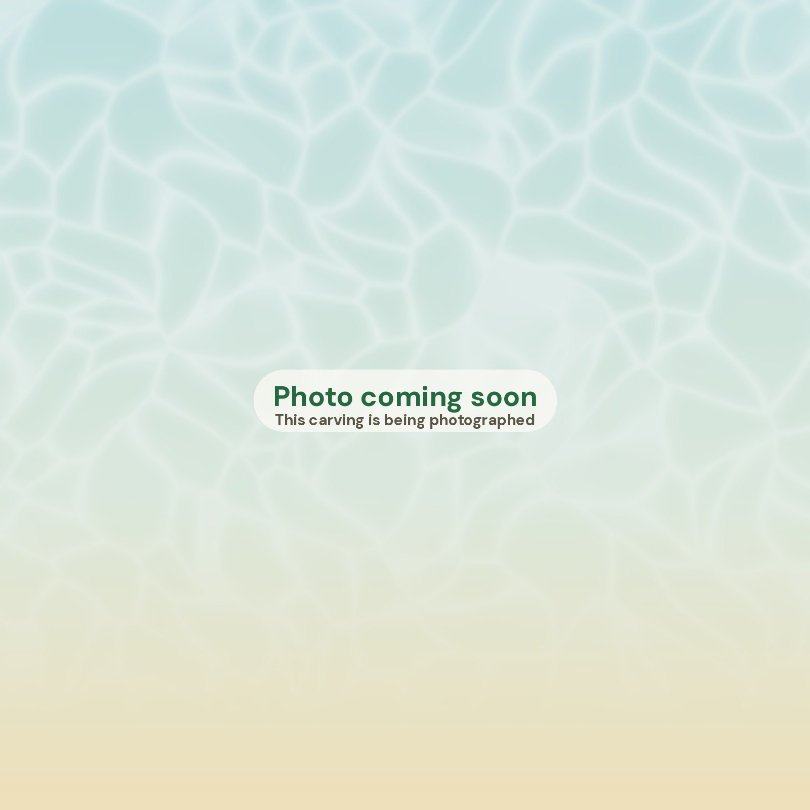 Photo coming soon