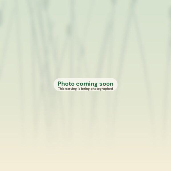 Photo coming soon