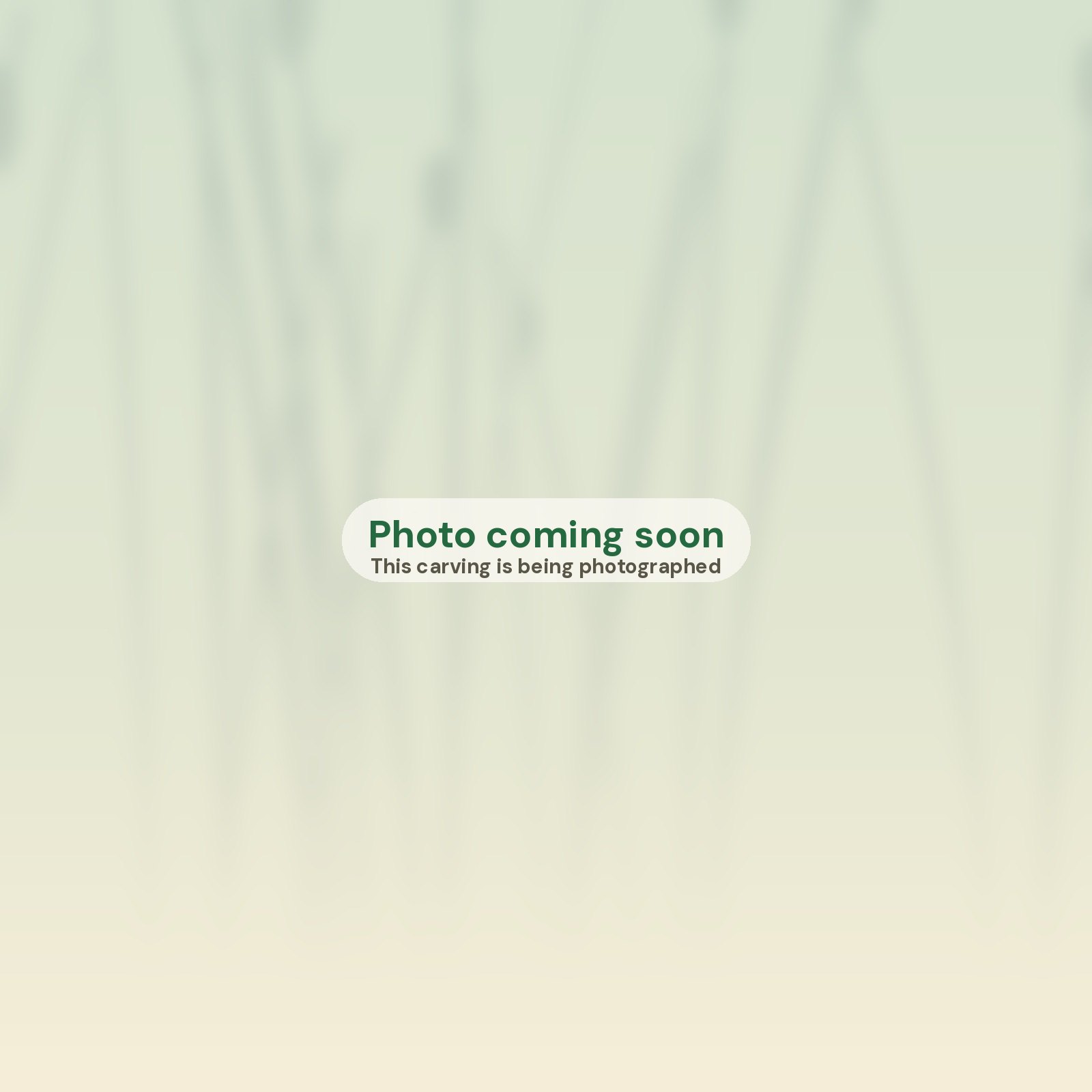 Photo coming soon